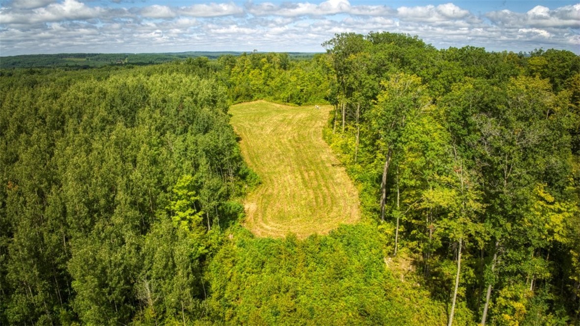 Land at 1,923 ACRES COUNTY HWY C & COMET ROAD, Exeland, WI 54835 — photo 31