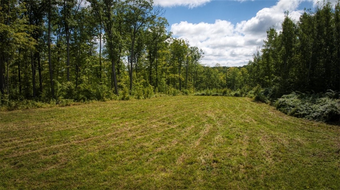 Land at 1,923 ACRES COUNTY HWY C & COMET ROAD, Exeland, WI 54835 — photo 32