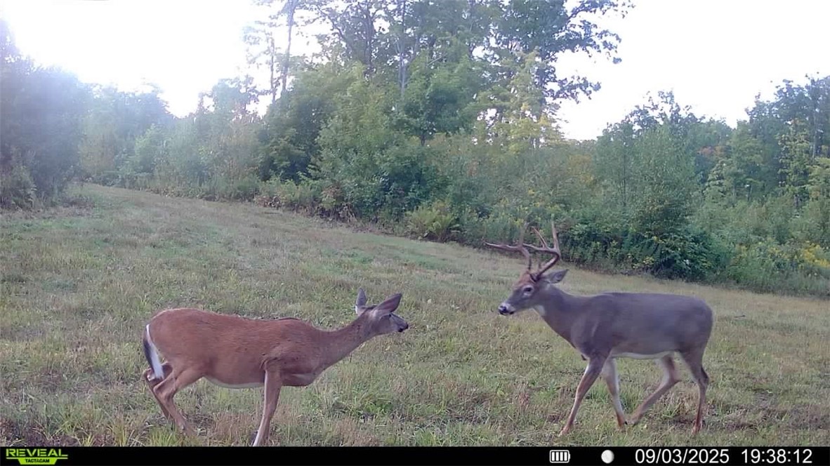 Land at 1,923 ACRES COUNTY HWY C & COMET ROAD, Exeland, WI 54835 — photo 33