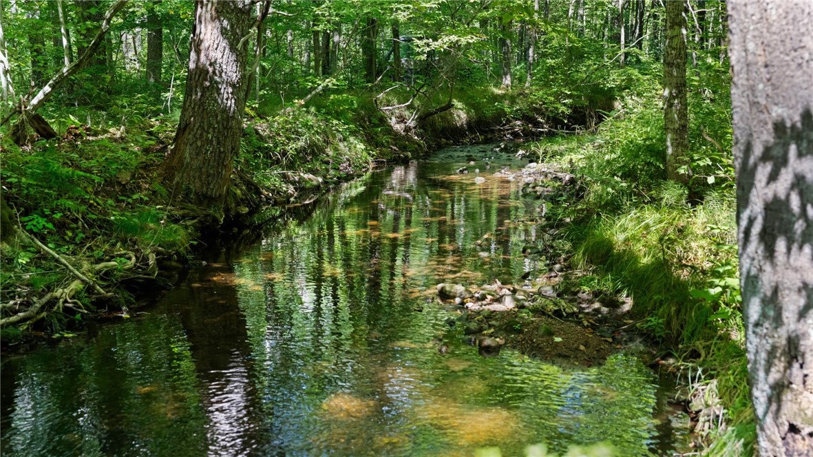 Land at 1,923 ACRES COUNTY HWY C & COMET ROAD, Exeland, WI 54835 — photo 36