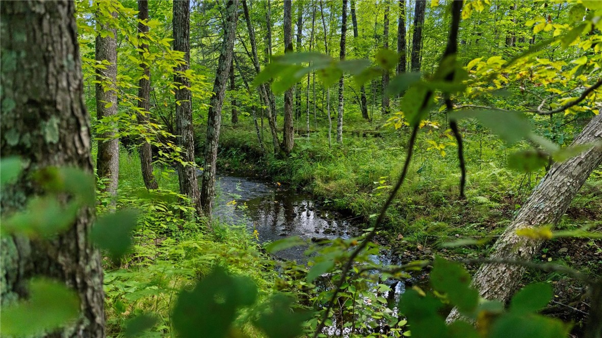 Land at 1,923 ACRES COUNTY HWY C & COMET ROAD, Exeland, WI 54835 — photo 37