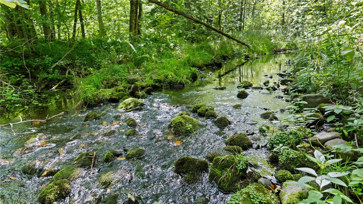 Land at 1,923 ACRES COUNTY HWY C & COMET ROAD, Exeland, WI 54835 — photo 38