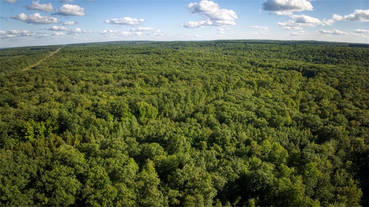 Land at 1,923 ACRES COUNTY HWY C & COMET ROAD, Exeland, WI 54835 — photo 40