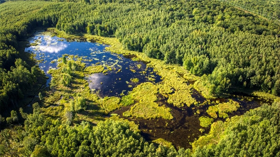 Land at 1,923 ACRES COUNTY HWY C & COMET ROAD, Exeland, WI 54835 — photo 5