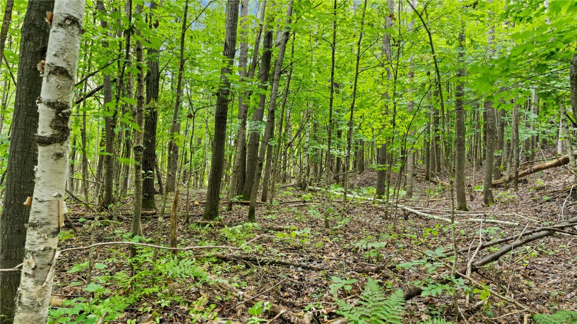 Land at 1,923 ACRES COUNTY HWY C & COMET ROAD, Exeland, WI 54835 — photo 42