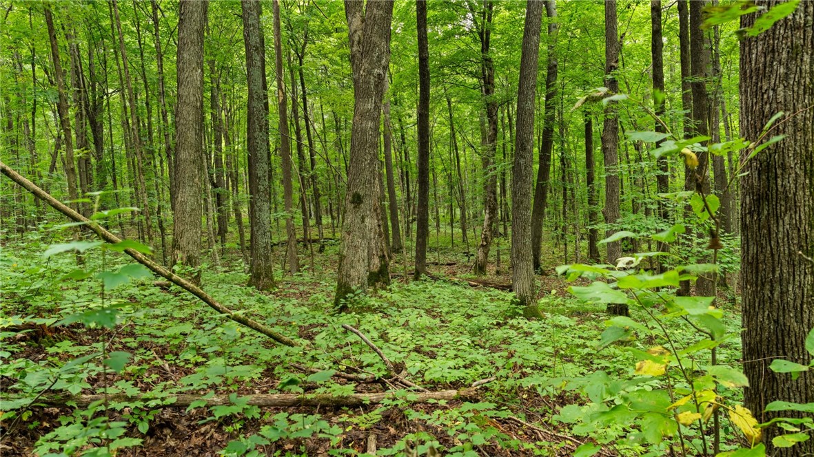 Land at 1,923 ACRES COUNTY HWY C & COMET ROAD, Exeland, WI 54835 — photo 44