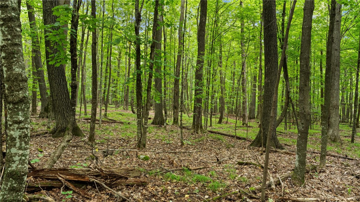 Land at 1,923 ACRES COUNTY HWY C & COMET ROAD, Exeland, WI 54835 — photo 45