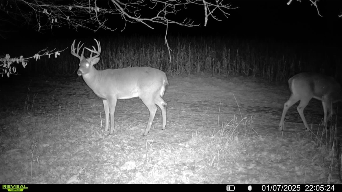 Land at 1,923 ACRES COUNTY HWY C & COMET ROAD, Exeland, WI 54835 — photo 46