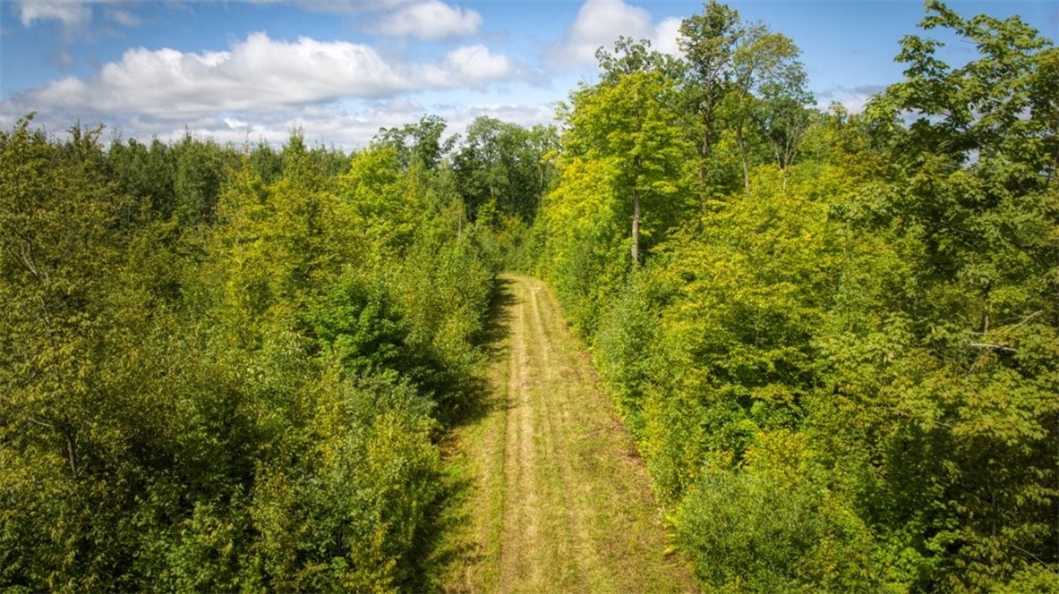 Land at 1,923 ACRES COUNTY HWY C & COMET ROAD, Exeland, WI 54835 — photo 50