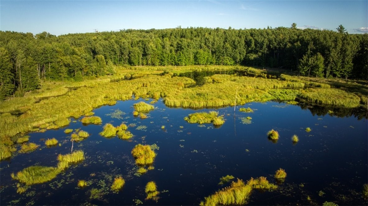 Land at 1,923 ACRES COUNTY HWY C & COMET ROAD, Exeland, WI 54835 — photo 6