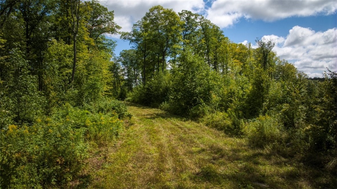 Land at 1,923 ACRES COUNTY HWY C & COMET ROAD, Exeland, WI 54835 — photo 51