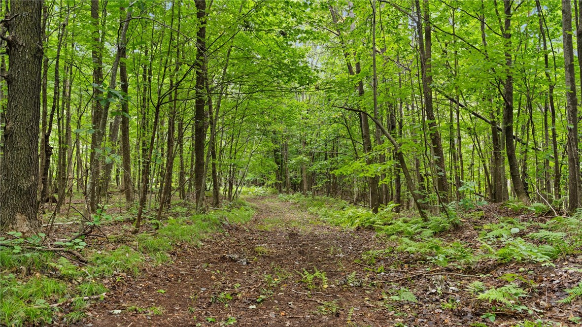 Land at 1,923 ACRES COUNTY HWY C & COMET ROAD, Exeland, WI 54835 — photo 52