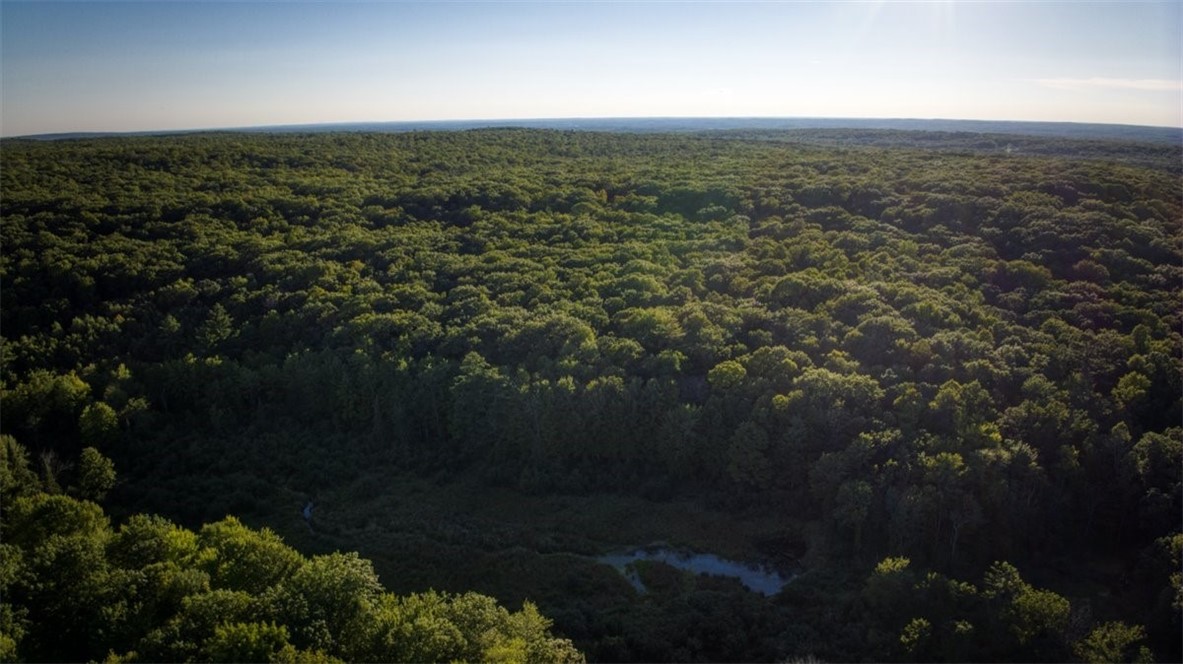 Land at 1,923 ACRES COUNTY HWY C & COMET ROAD, Exeland, WI 54835 — photo 53