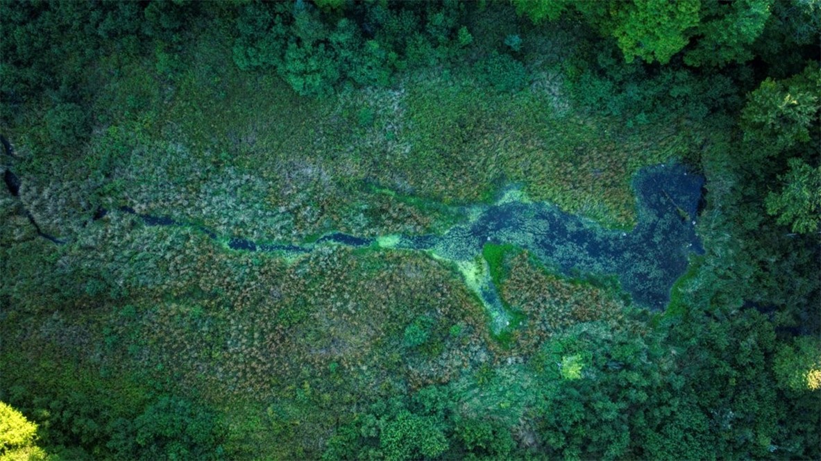 Land at 1,923 ACRES COUNTY HWY C & COMET ROAD, Exeland, WI 54835 — photo 54