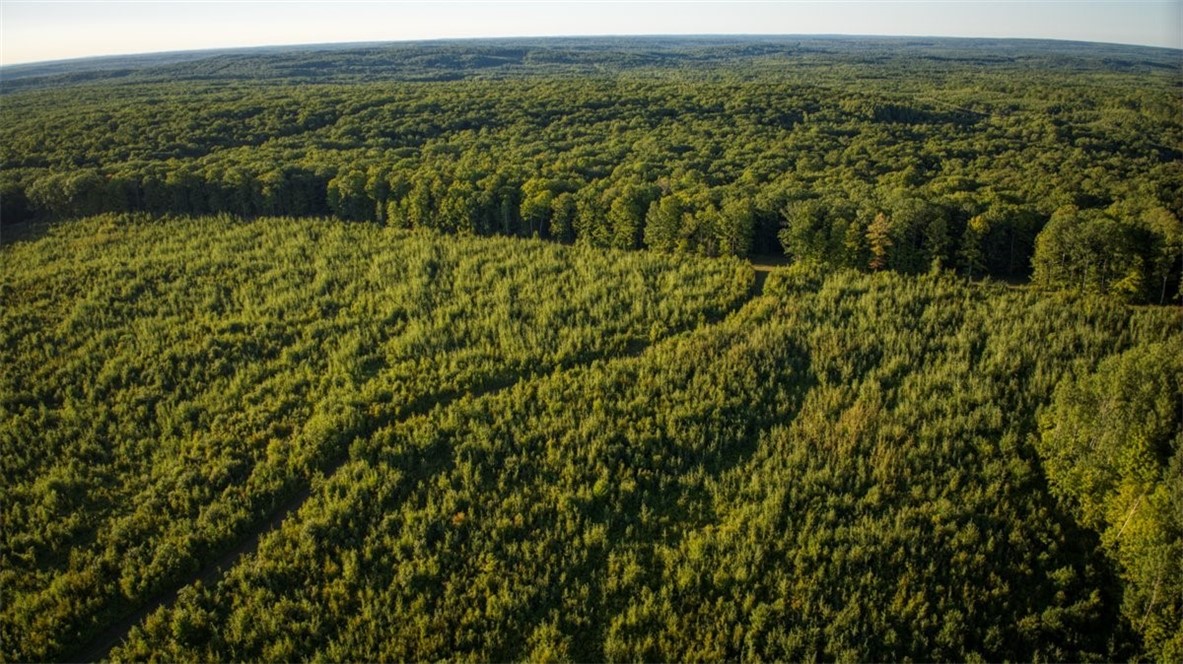 Land at 1,923 ACRES COUNTY HWY C & COMET ROAD, Exeland, WI 54835 — photo 56