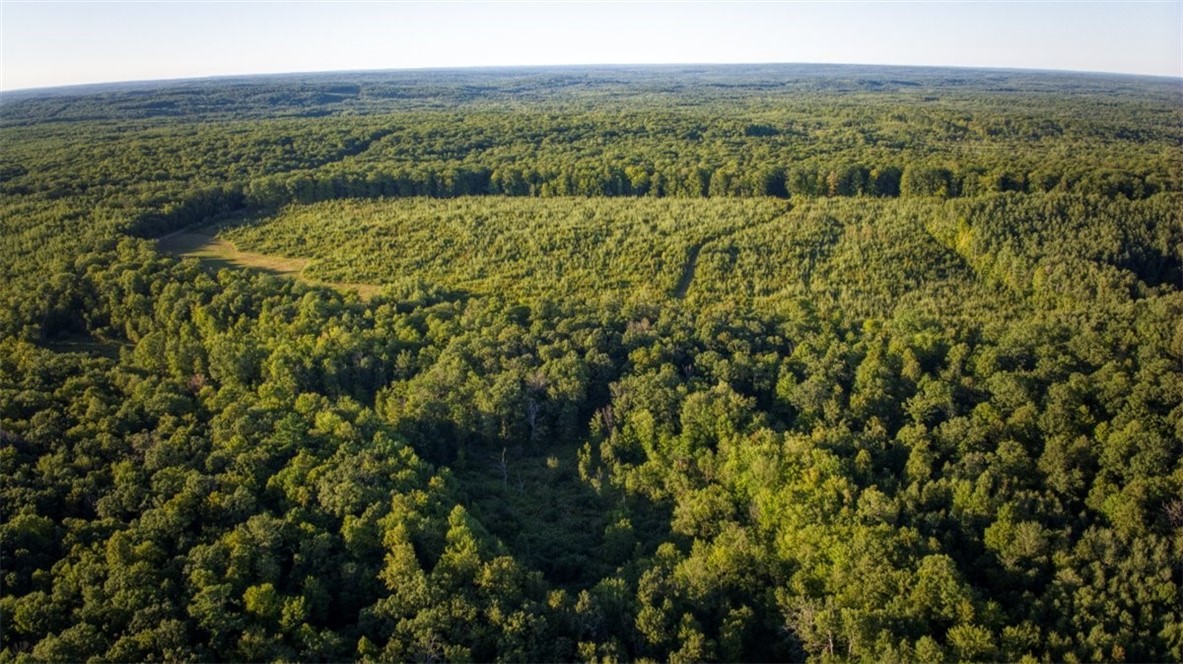 Land at 1,923 ACRES COUNTY HWY C & COMET ROAD, Exeland, WI 54835 — photo 58