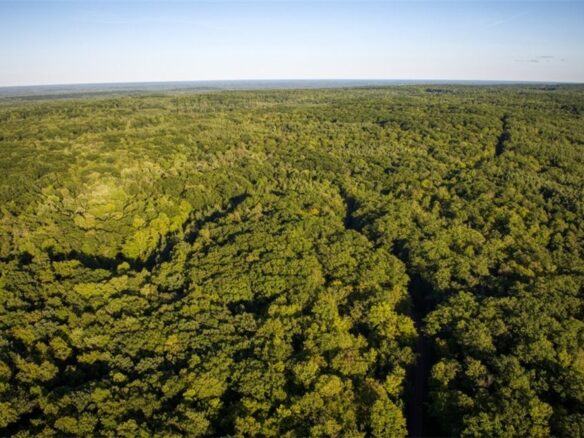 Land at 1,923 ACRES COUNTY HWY C & COMET ROAD, Exeland, WI 54835 — photo 1