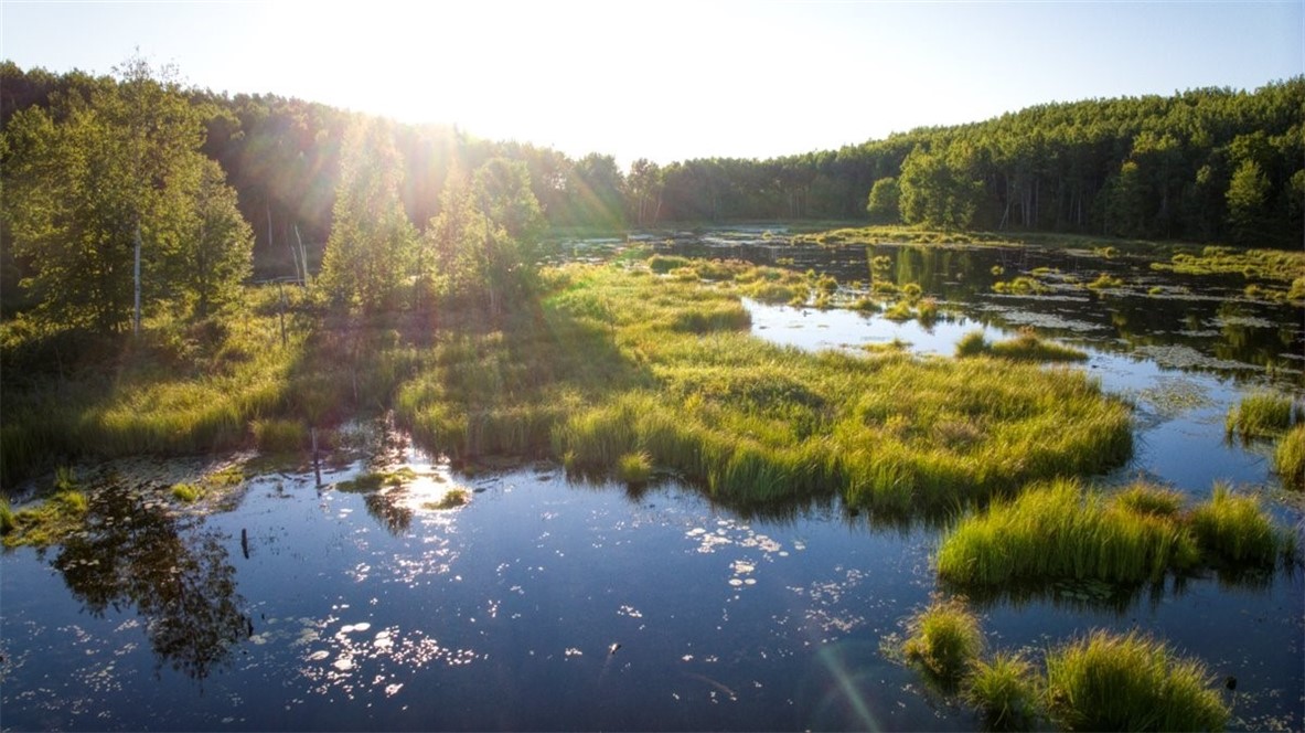 Land at 1,923 ACRES COUNTY HWY C & COMET ROAD, Exeland, WI 54835 — photo 7