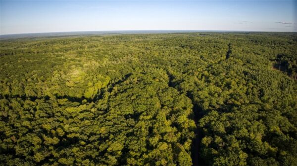 Land at 1,923 ACRES COUNTY HWY C & COMET ROAD, Exeland, WI 54835 — photo 1
