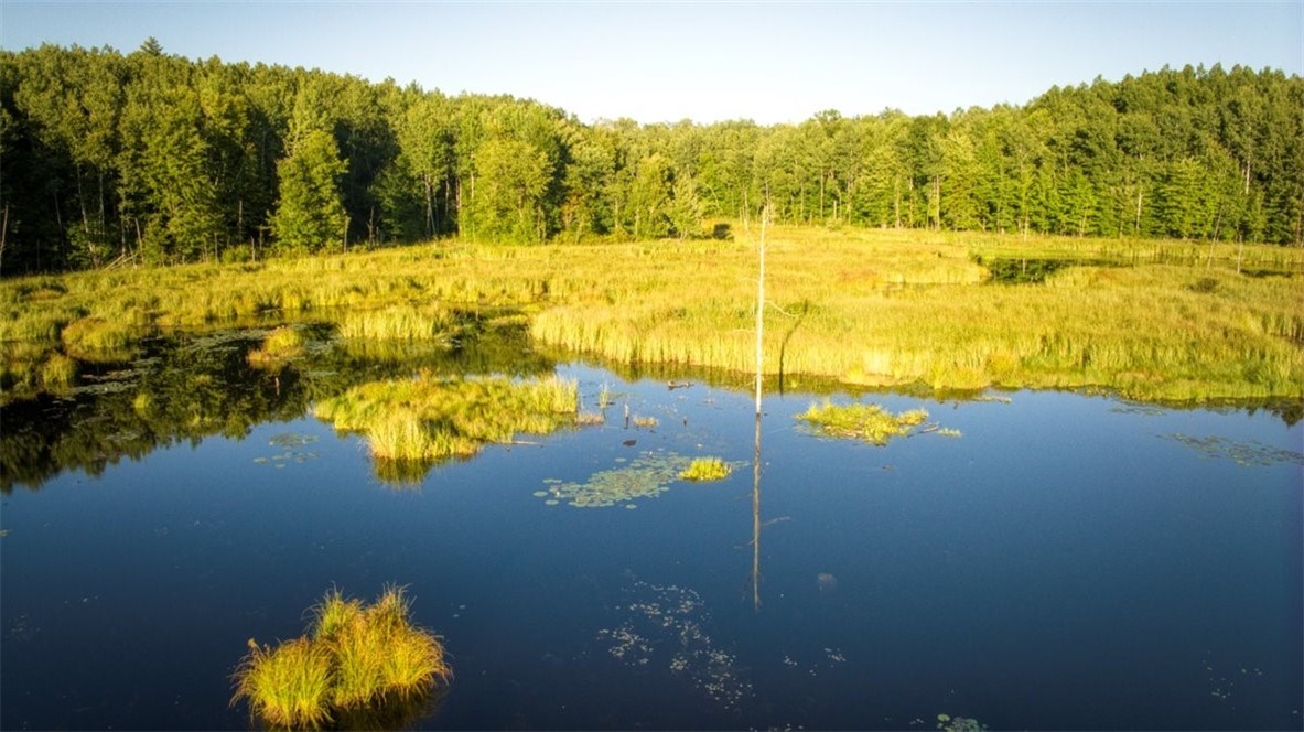 Land at 1,923 ACRES COUNTY HWY C & COMET ROAD, Exeland, WI 54835 — photo 8