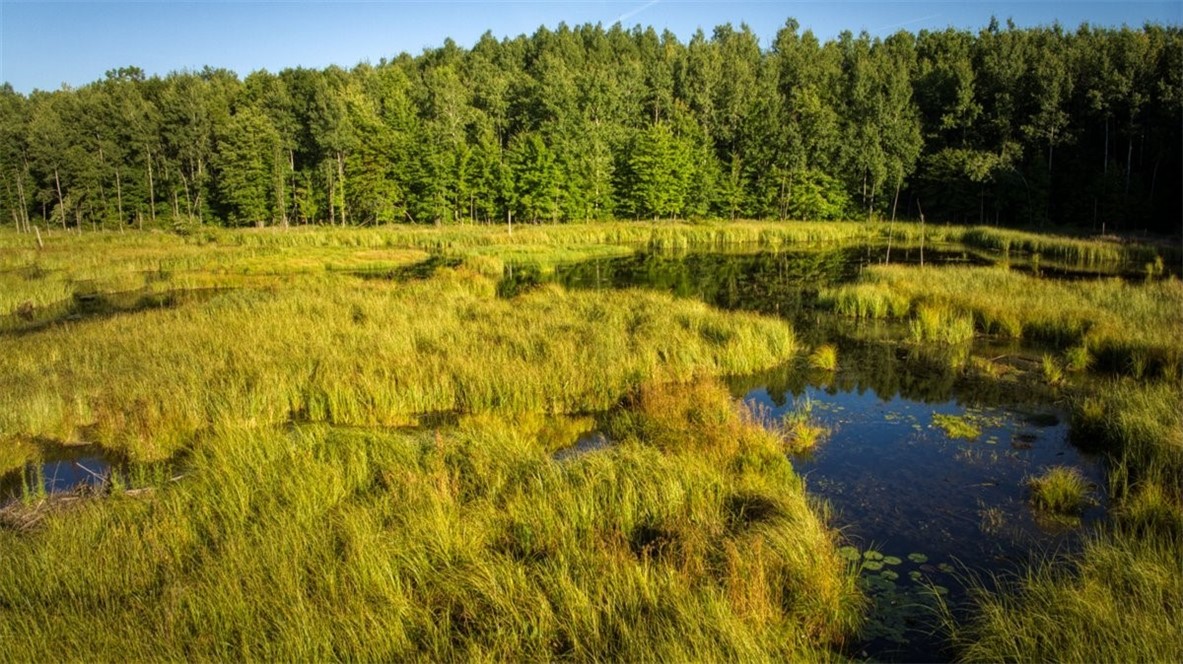 Land at 1,923 ACRES COUNTY HWY C & COMET ROAD, Exeland, WI 54835 — photo 9