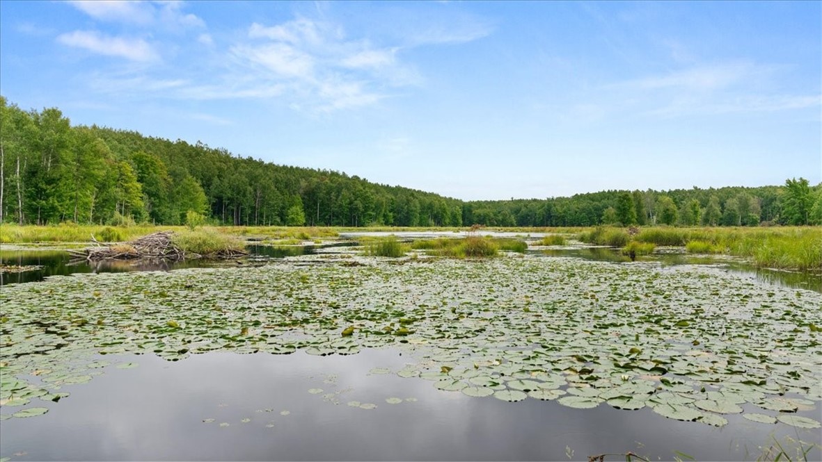 Land at 1,923 ACRES COUNTY HWY C & COMET ROAD, Exeland, WI 54835 — photo 10
