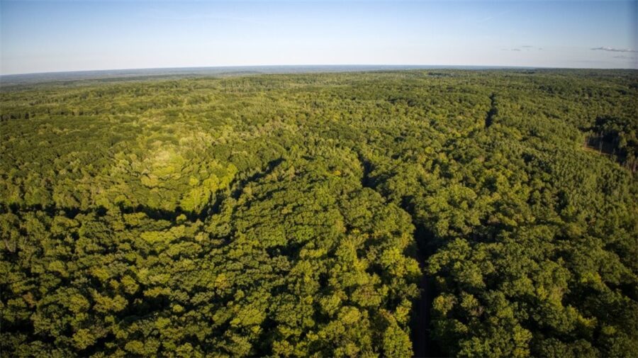 1,923 ACRES COUNTY HWY C & COMET ROAD 