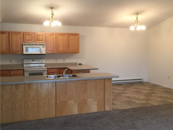 Residential at 20 E John Street, Rice Lake, WI 54868 — photo 1