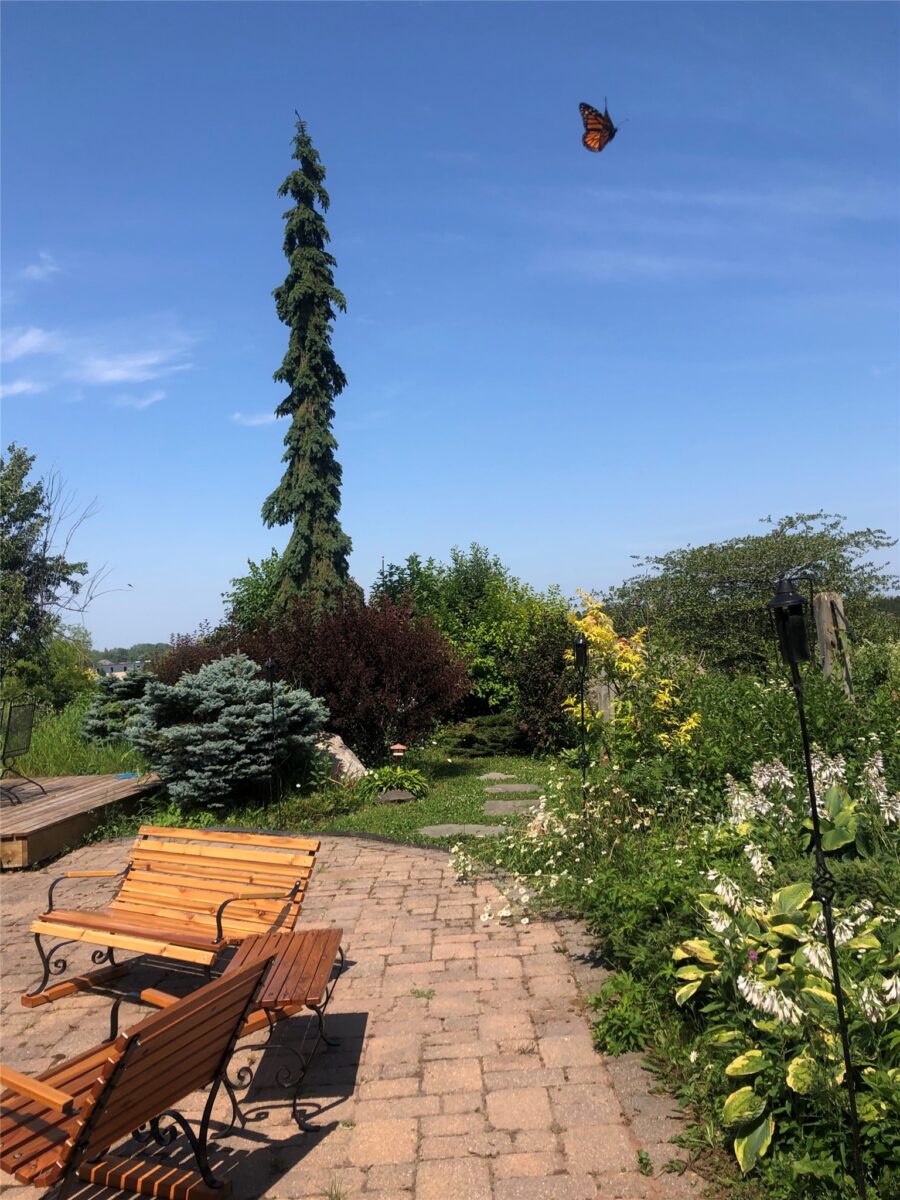 201 Hilltop Road, Shell Lake, WI — photo 53