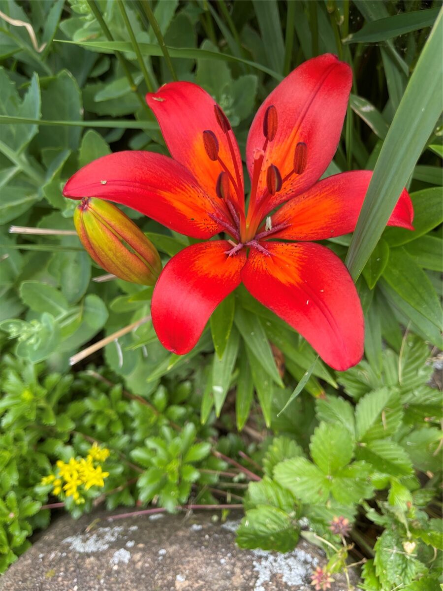 201 Hilltop Road, Shell Lake, WI — photo 55