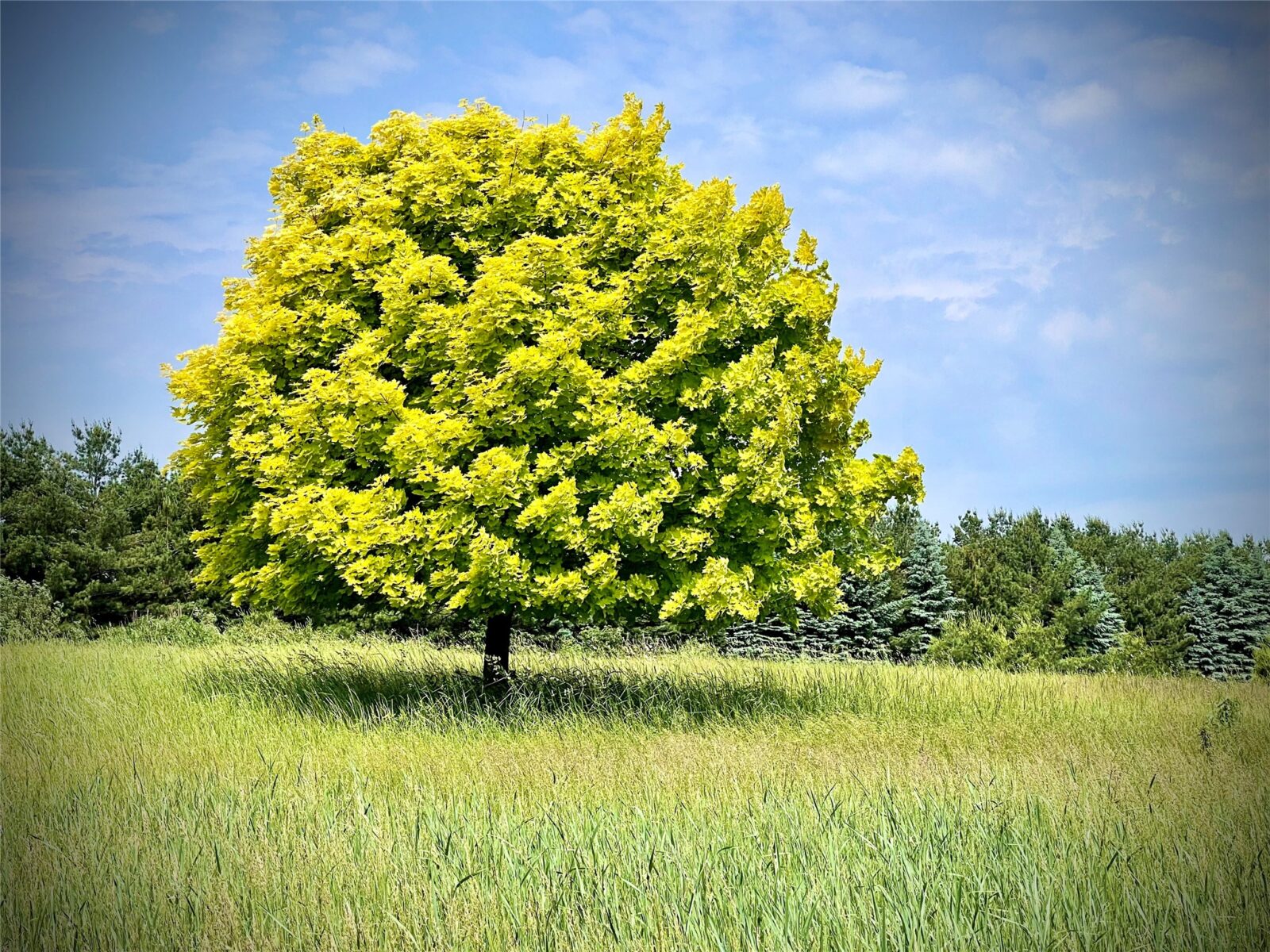 201 Hilltop Road, Shell Lake, WI — photo 56