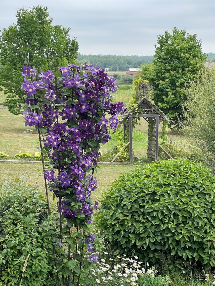 201 Hilltop Road, Shell Lake, WI — photo 59