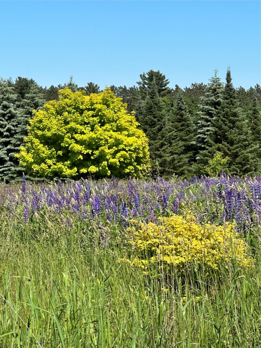 201 Hilltop Road, Shell Lake, WI — photo 60