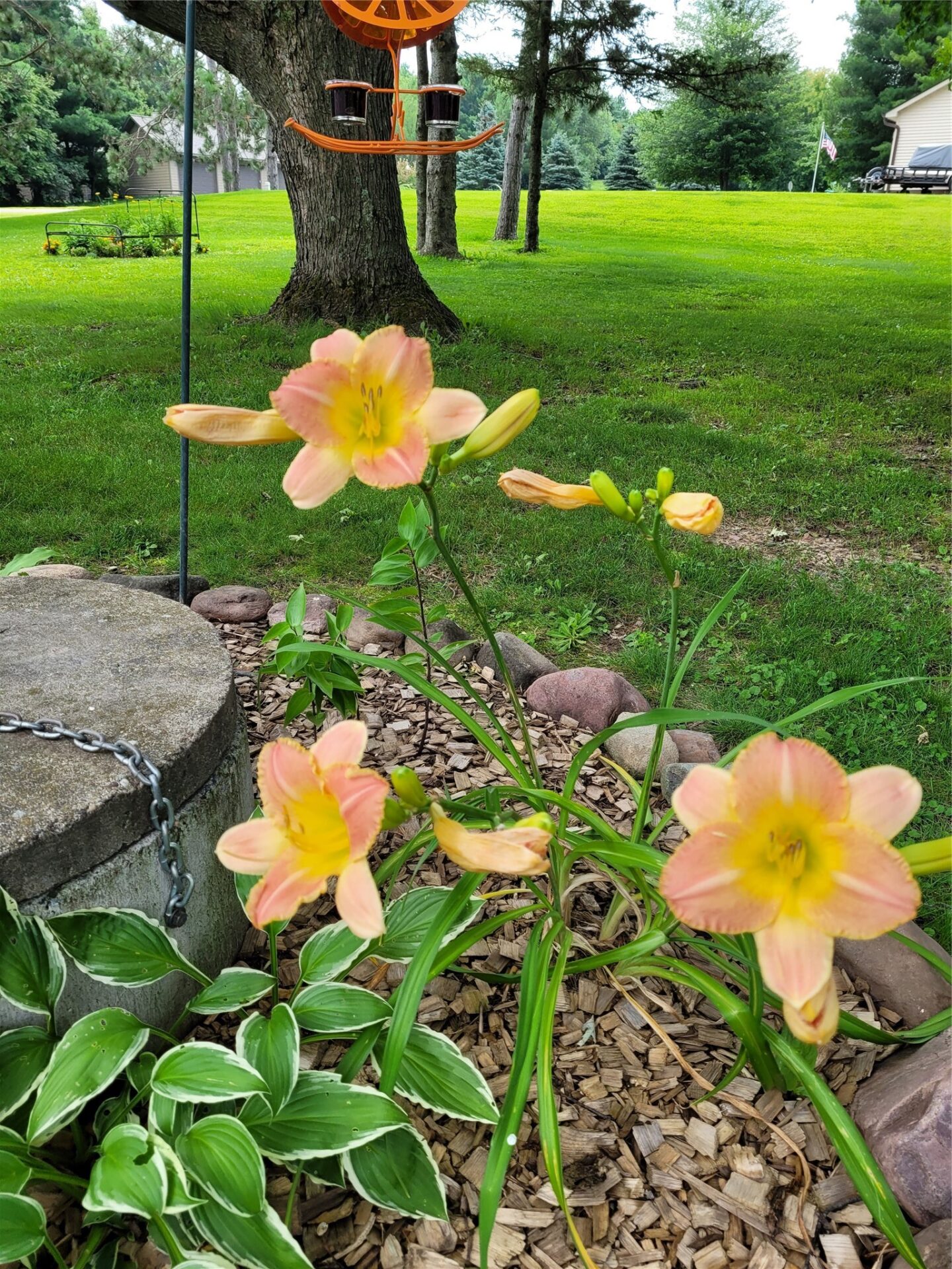 Residential at 2053 17 1/4 Avenue, Rice Lake, WI 54868 — photo 8