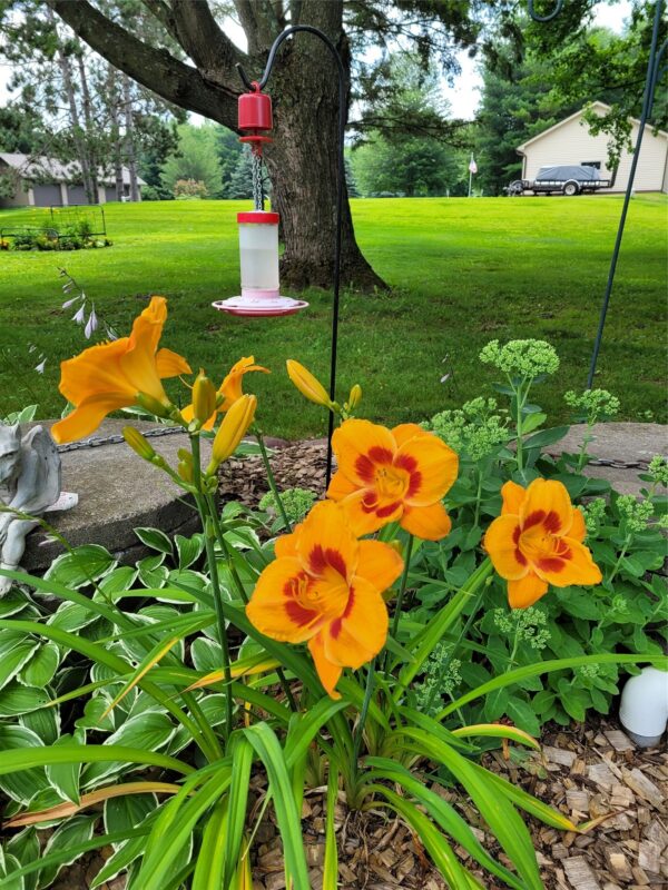 Residential at 2053 17 1/4 Avenue, Rice Lake, WI 54868 — photo 9