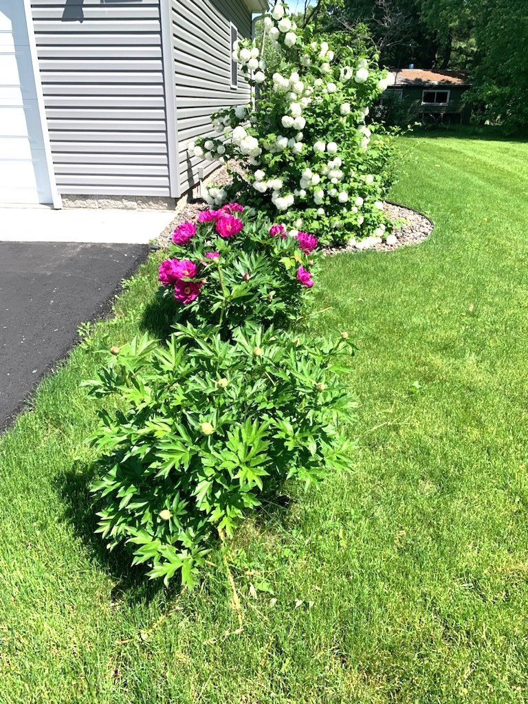 Residential at 206 Ranger Court, Milltown, WI 54858 — photo 9