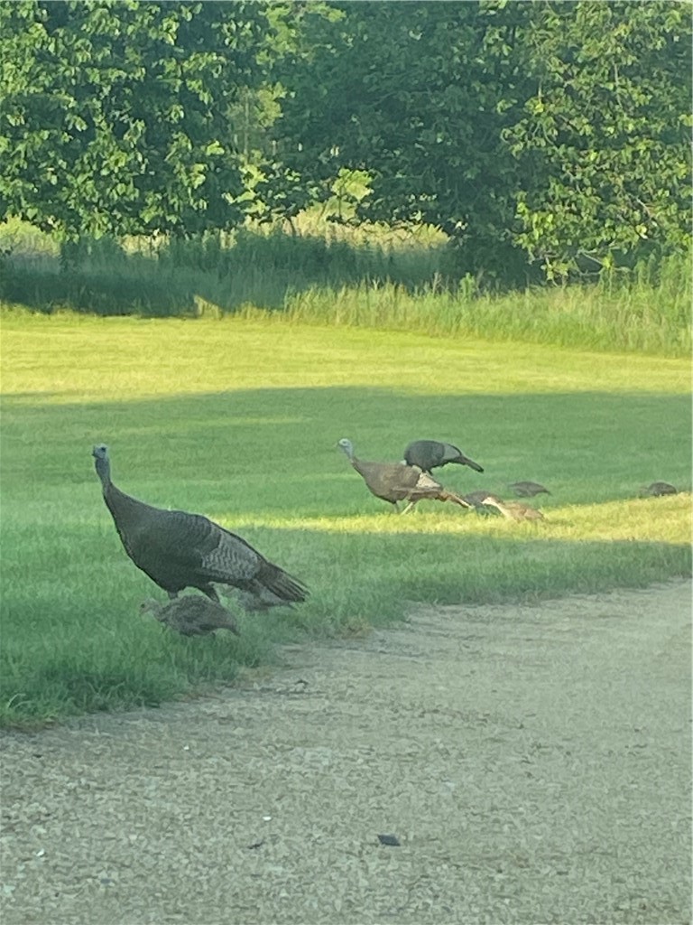 Residential at 2061 10th Avenue, Star Prairie, WI 54026 — photo 14