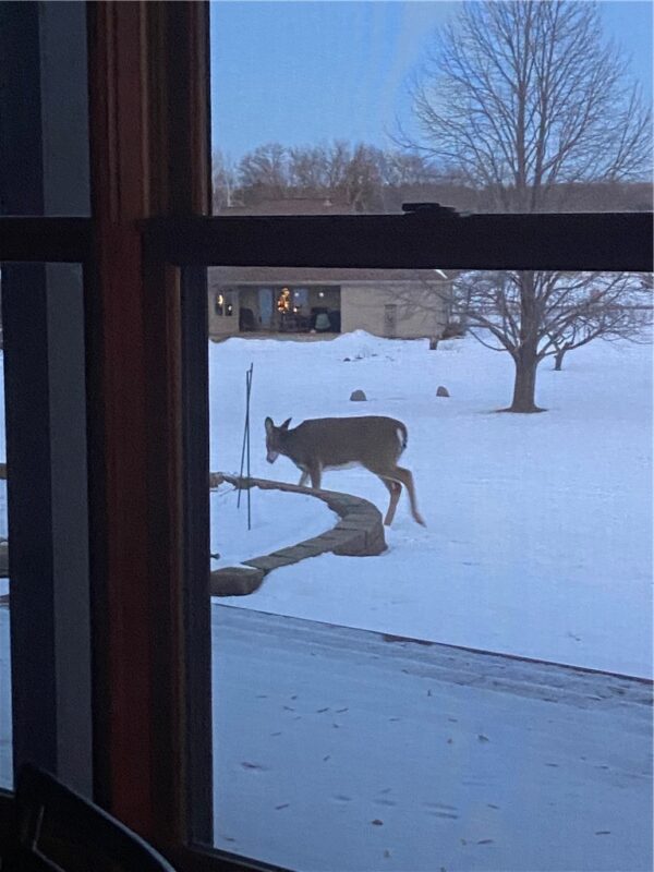 Residential at 2061 10th Avenue, Star Prairie, WI 54026 — photo 36