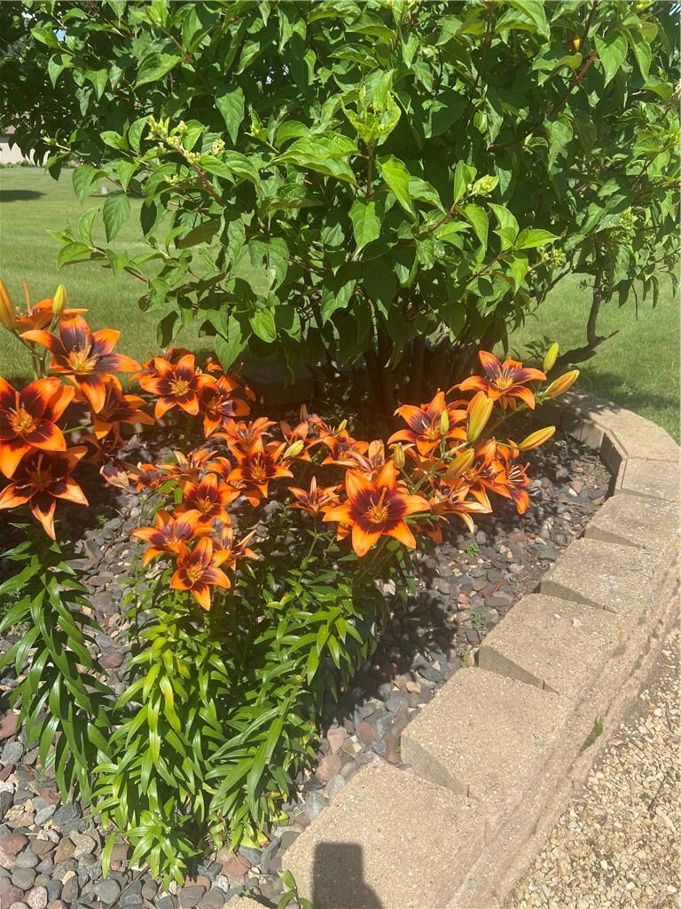 Residential at 2061 10th Avenue, Star Prairie, WI 54026 — photo 48