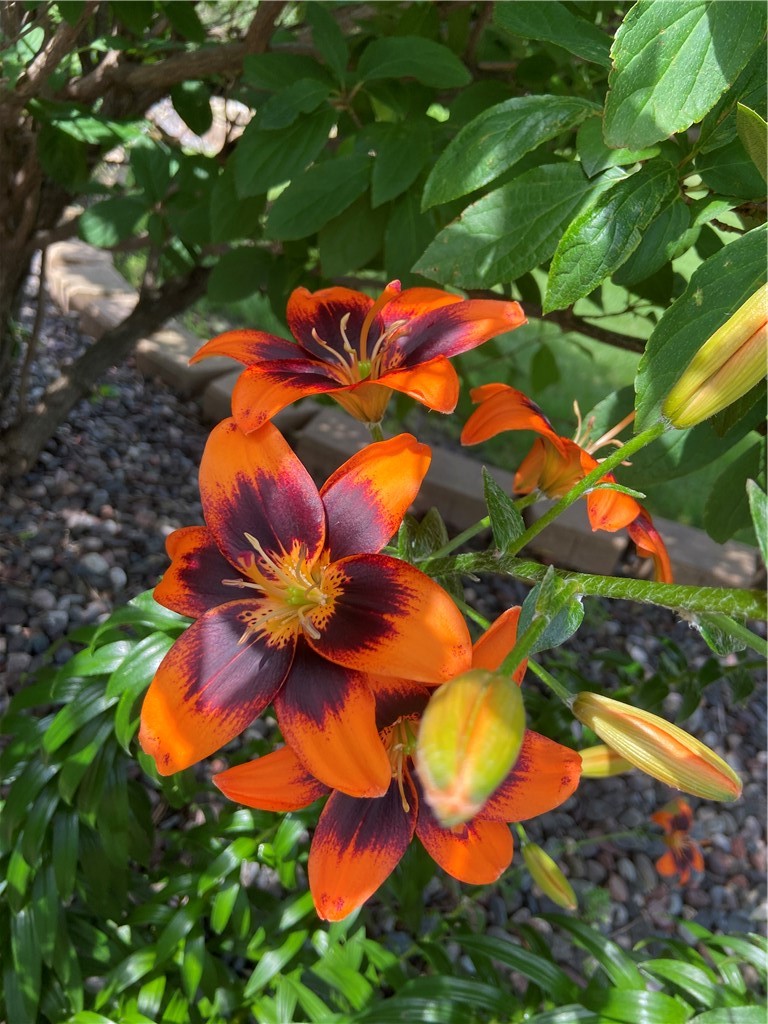 Residential at 2061 10th Avenue, Star Prairie, WI 54026 — photo 52