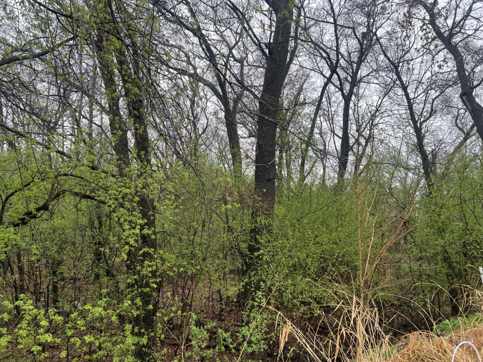 2114 Jannsen Court Menomonie WI 54751 — photo 35