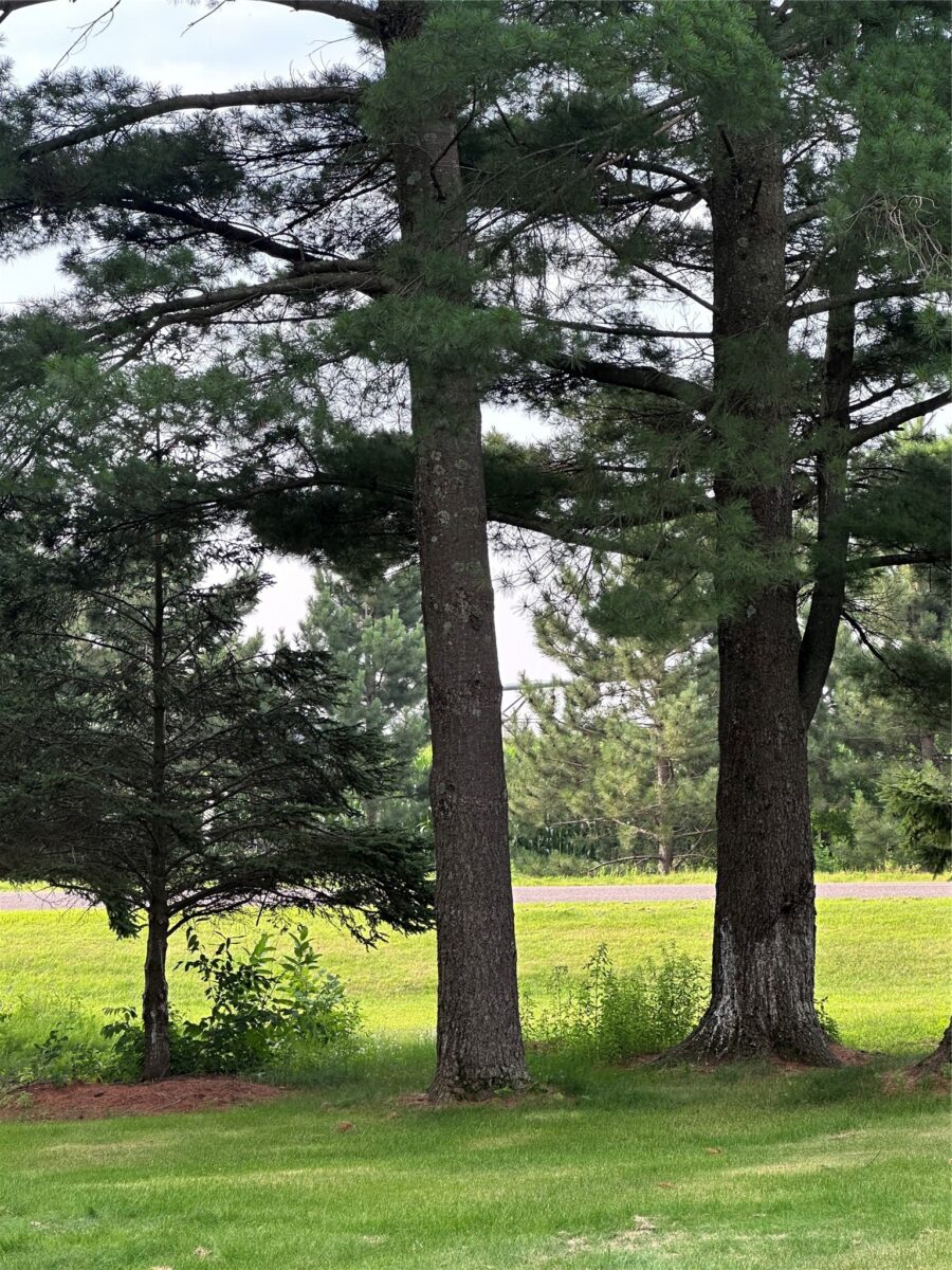 2124 12 1/4 Avenue, Cameron, WI — photo 34