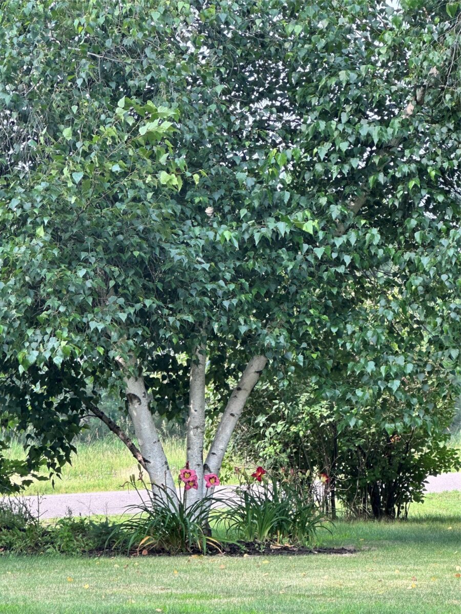 2124 12 1/4 Avenue, Cameron, WI — photo 37