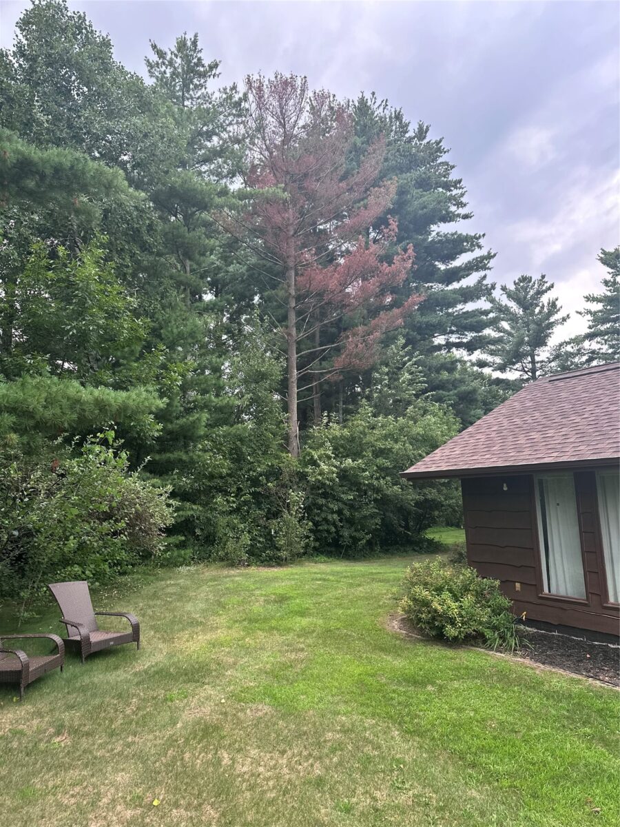 2124 12 1/4 Avenue, Cameron, WI — photo 38