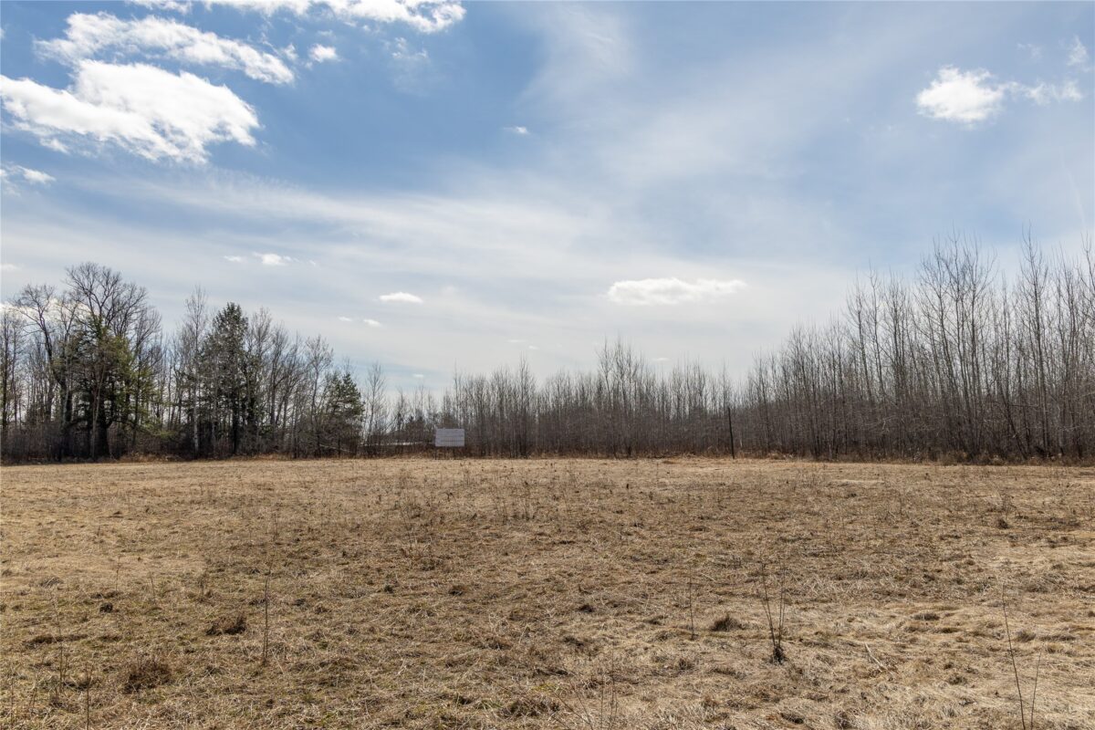 22 Acres County I Tony WI 54563 — photo 13