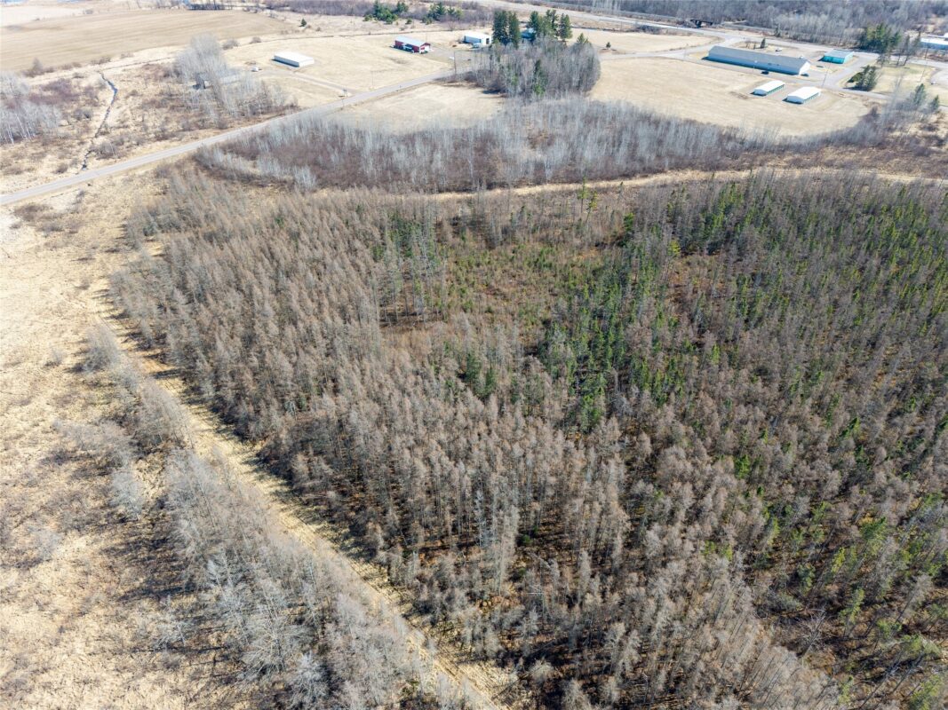 22 Acres County I Tony WI 54563 — photo 4