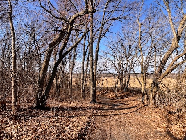 Residential at 2254 220th Avenue, St Croix Falls, WI 54024 — photo 23