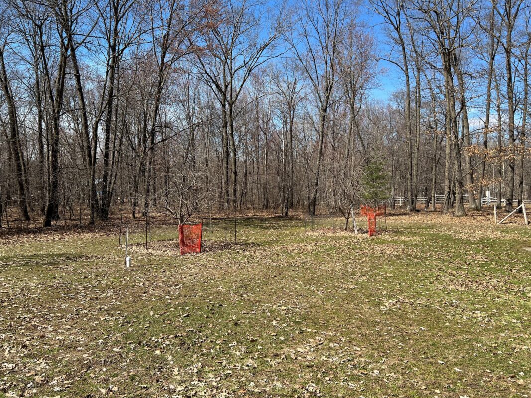 23040 County Hwy Q  New Auburn WI 54757 — photo 35