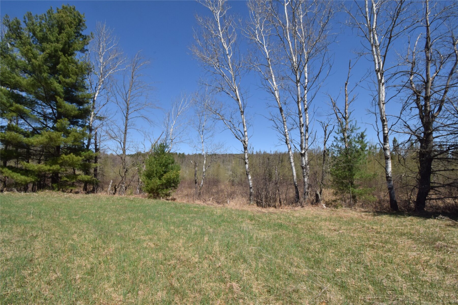 23376 Nyberg Road, Siren, WI