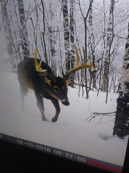 2339 150th 150th Street